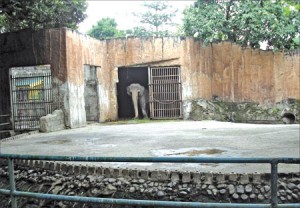mali101012a