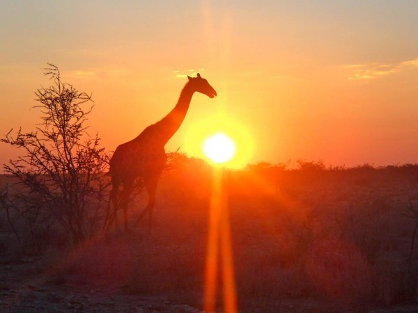 Sunset in Etosha-photo credit: Caroline