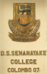 DSSCL112813