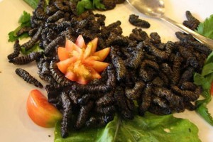 Mopane worms