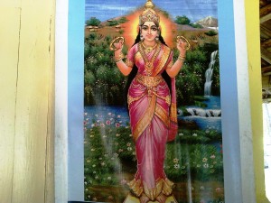 Goddess Pattini