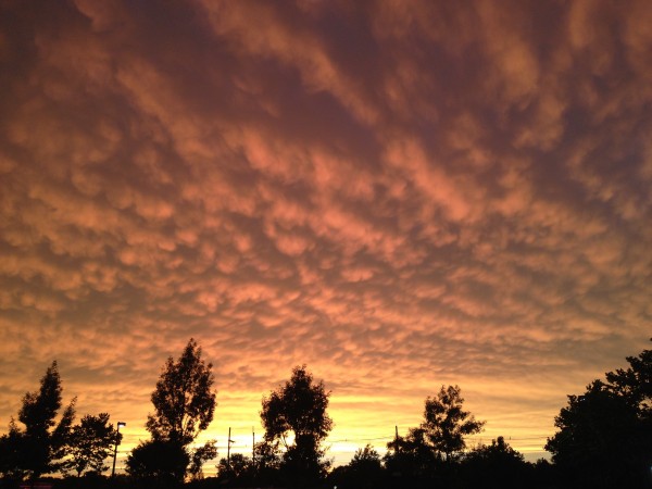 West Windsor, NJ-June 23, 2015