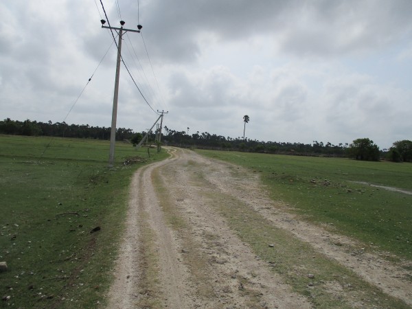 Part of the path she had cycled through that day