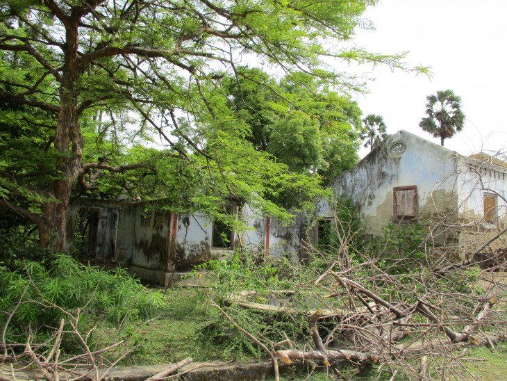 the-abandoned-house-behind-which-her-body-was-found-730x548.jpg