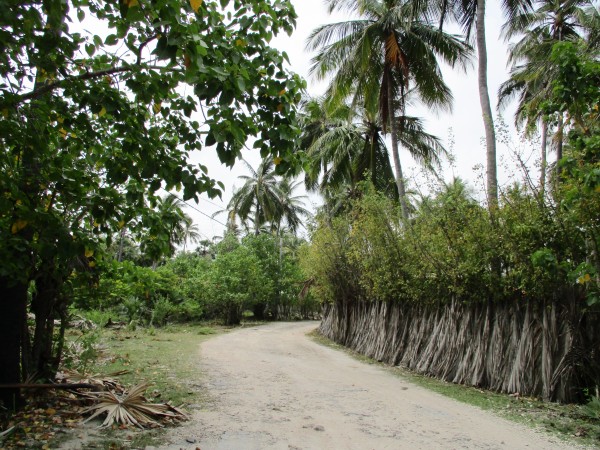 The path along which Vidhya traveled to school                                    every day