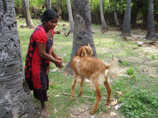 Vidhya’s mother with Kutty